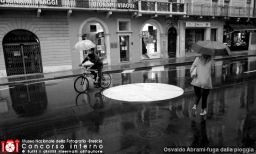 Osvaldo Abrami-fuga dalla pioggia